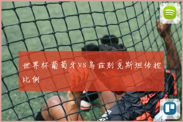 世界杯葡萄牙vs乌兹别克斯坦传控比例