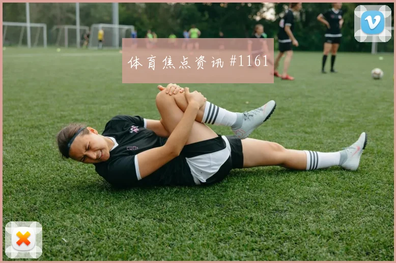 比利时队2026世界杯中场配置分析