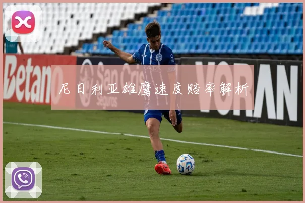 尼日利亚雄鹰速度赔率解析