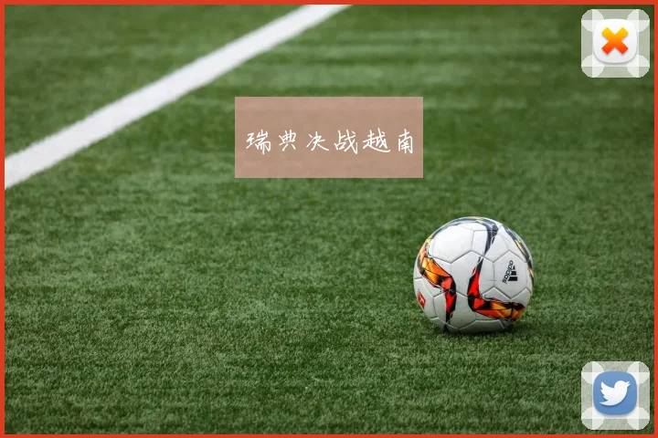 瑞典决战越南