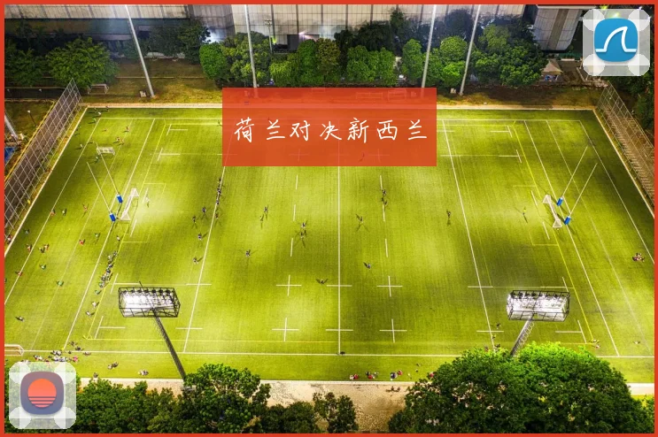 荷兰对决新西兰