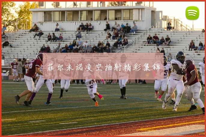 菲尔米诺凌空抽射精彩集锦