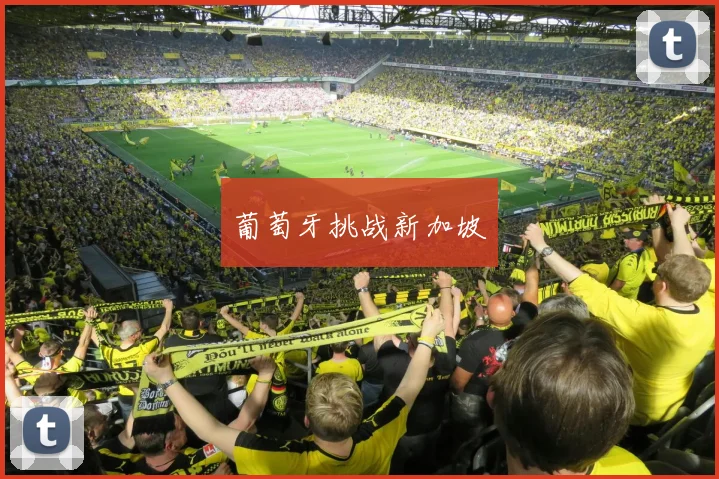 葡萄牙挑战新加坡