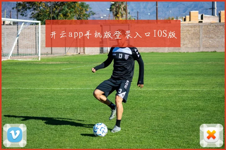 开云app手机版登录入口IOS版