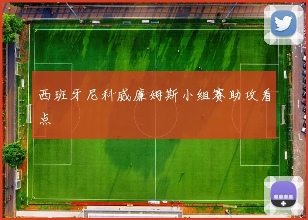 西班牙尼科威廉姆斯小组赛助攻看点