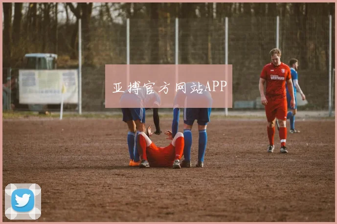 亚搏官方网站APP