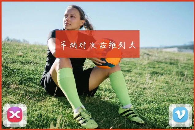 辛纳对决兹维列夫