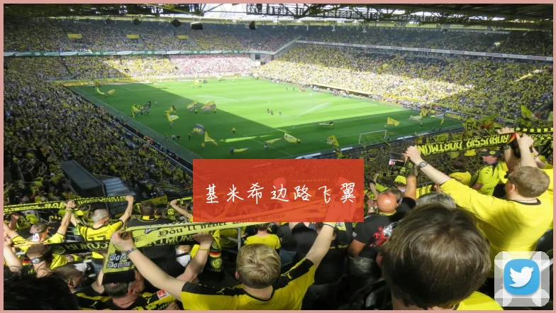 基米希边路飞翼