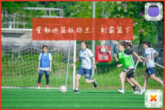 霍勒迪篮板称王：制霸篮下