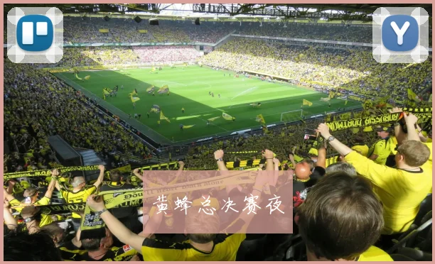 黄蜂总决赛夜