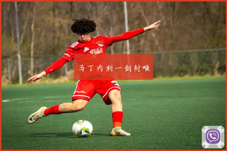 马丁内利一剑封喉