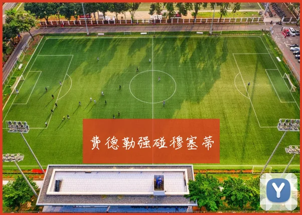 费德勒强碰穆塞蒂