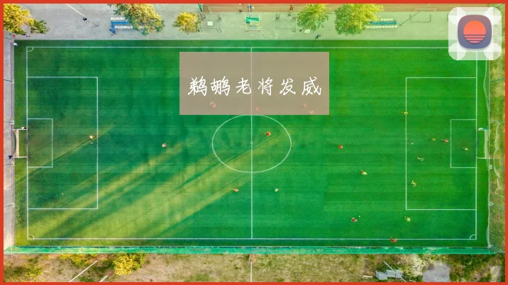 鹈鹕老将发威