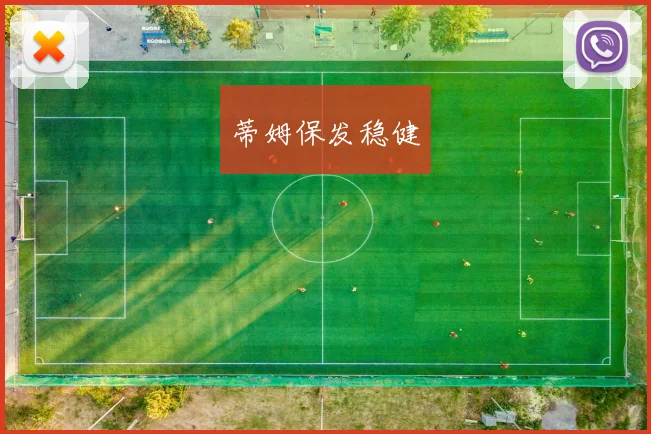 蒂姆保发稳健