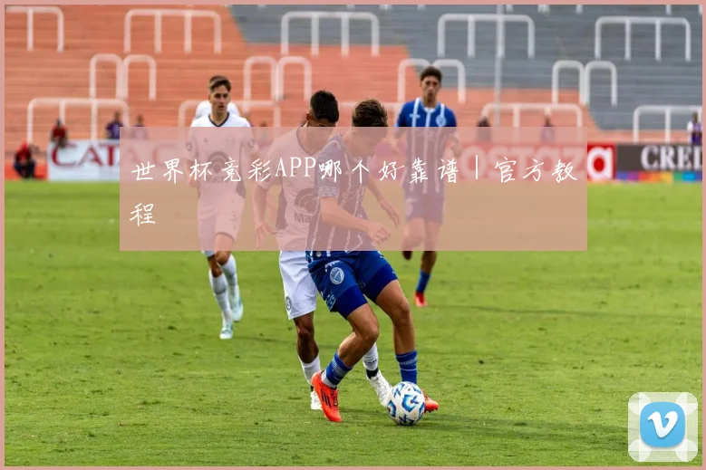 世界杯竞彩APP哪个好靠谱｜官方教程